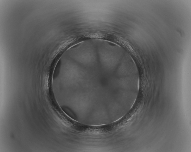 X0000113600299200909251202