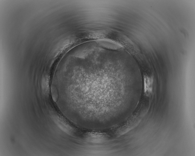 X0000113600300200909251202