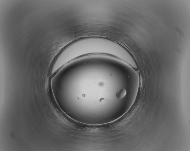 X0000113600301200909251201