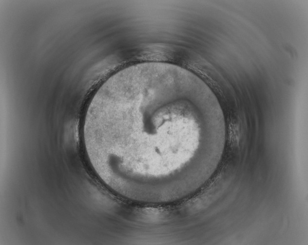 X0000113600302200909251201