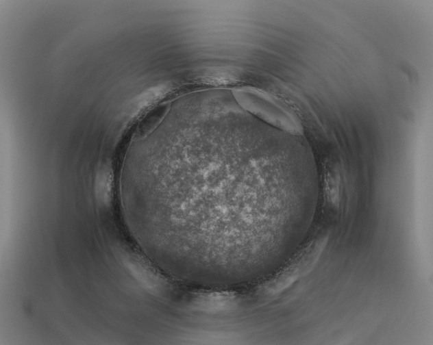 X0000113600304200909251201