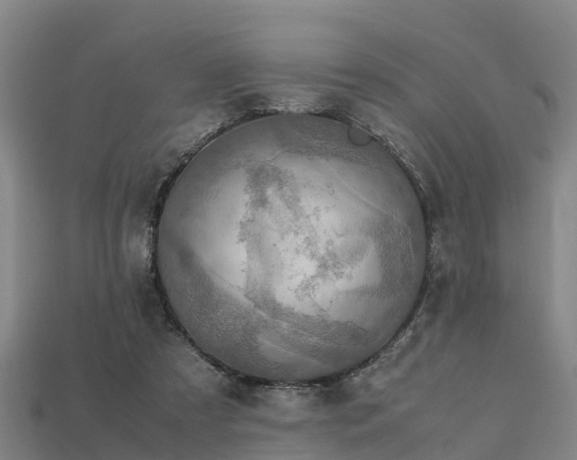 X0000113600305200909251201