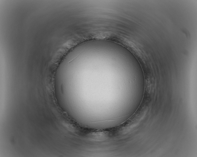 X0000113600307200909251201