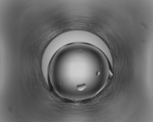 X0000113600309200909251201