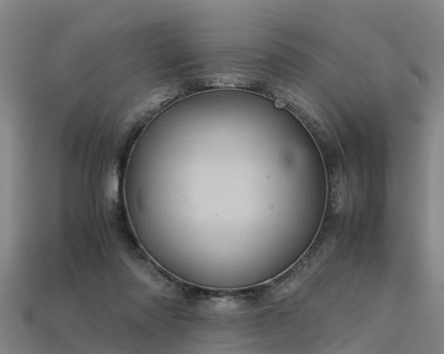 X0000113600310200909251201