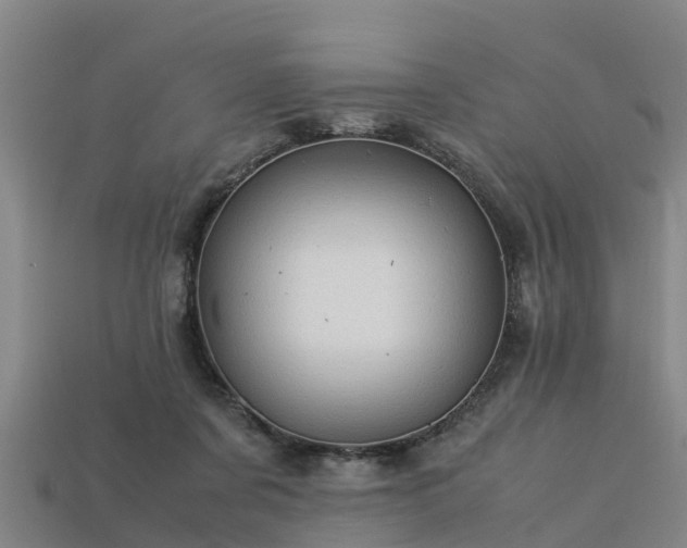 X0000113600311200909251201