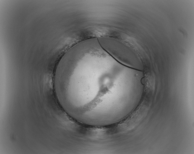 X0000113600313200909251201