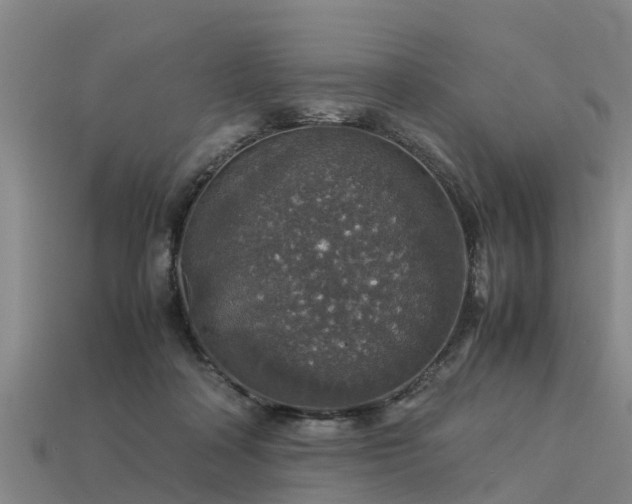 X0000113600314200909251201