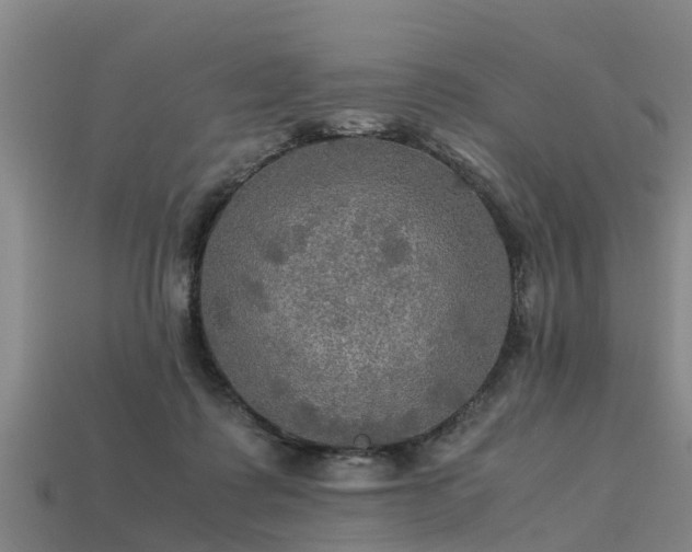 X0000113600315200909251201