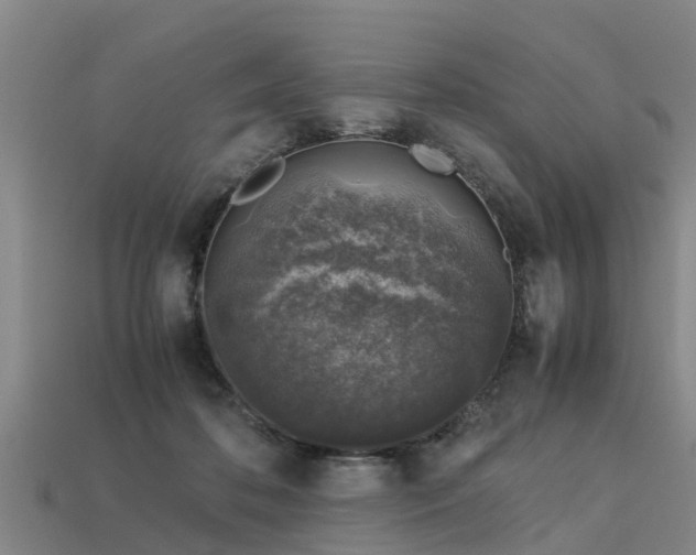 X0000113600316200909251201