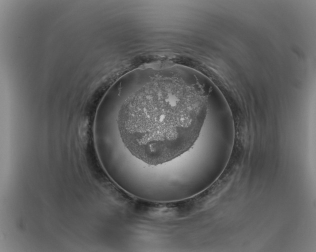 X0000113600319200909251201