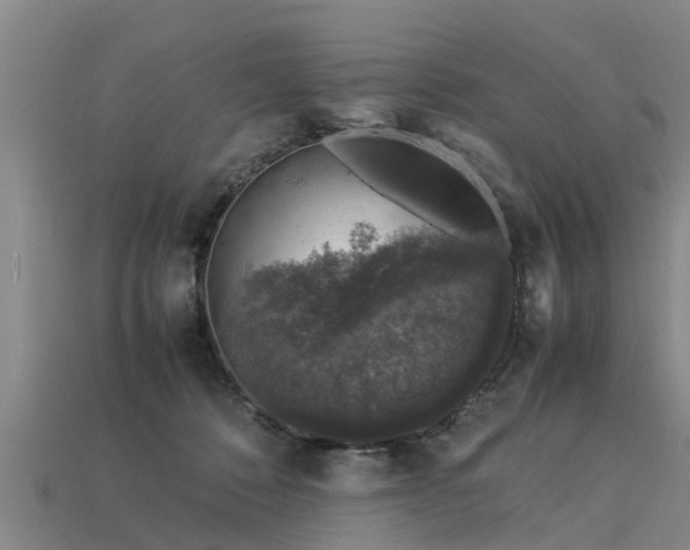 X0000113600320200909251201