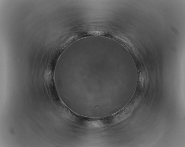 X0000113600322200909251201