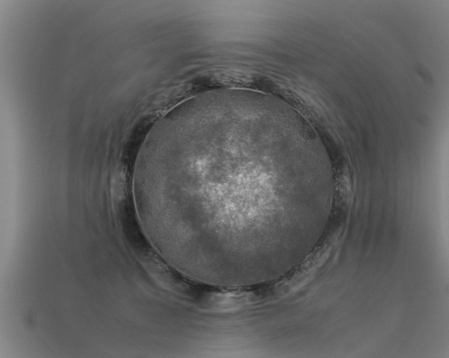 X0000113600323200909251201