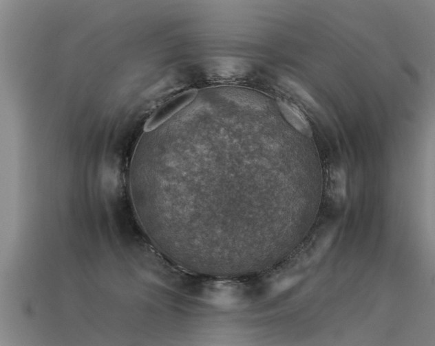 X0000113600324200909251201