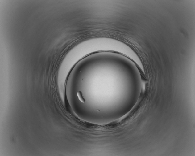 X0000113600325200909251201