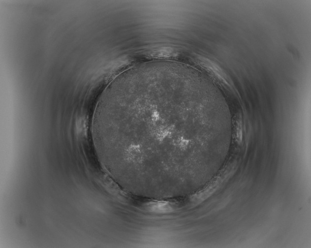 X0000113600326200909251201