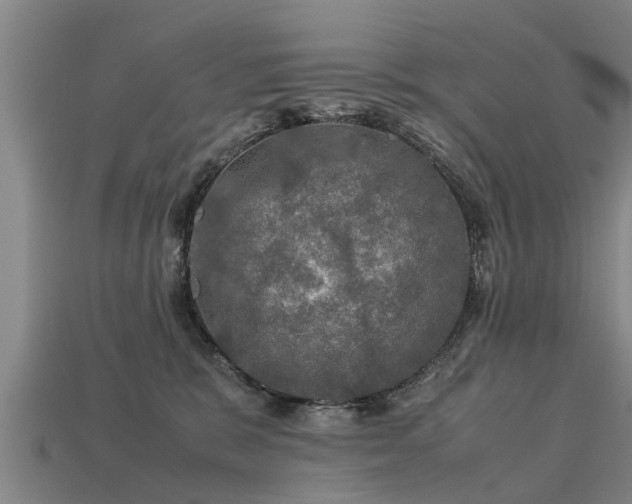 X0000113600327200909251201