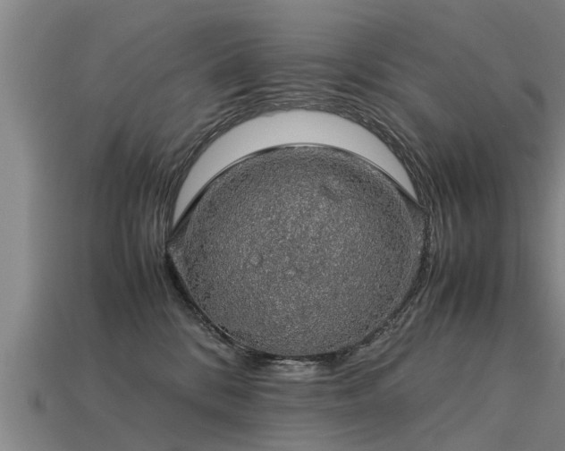 X0000113600328200909251201