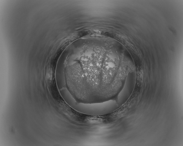 X0000113600331200909251201