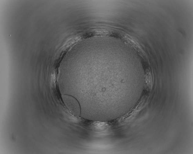 X0000113600333200909251201