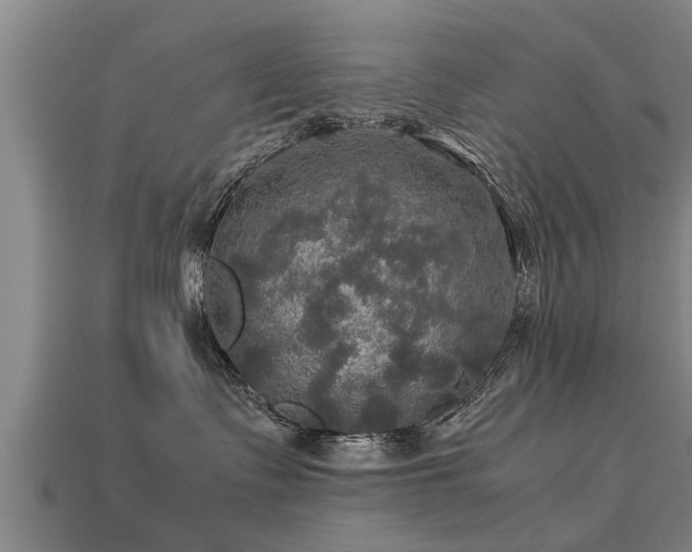 X0000113600335200909251201