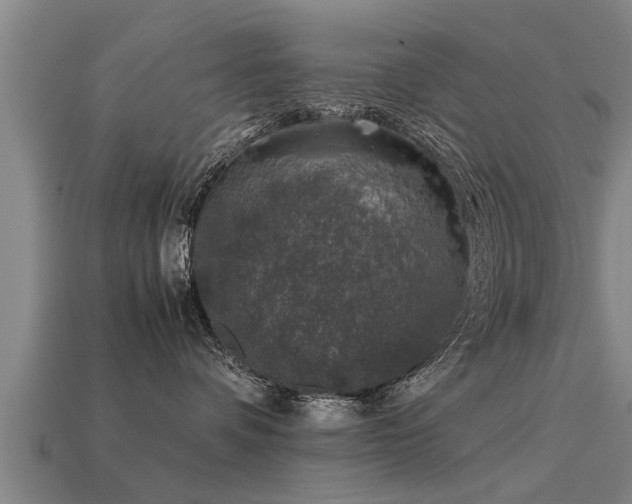 X0000113600336200909251201