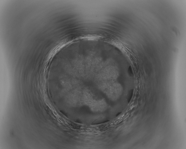 X0000113600337200909251200