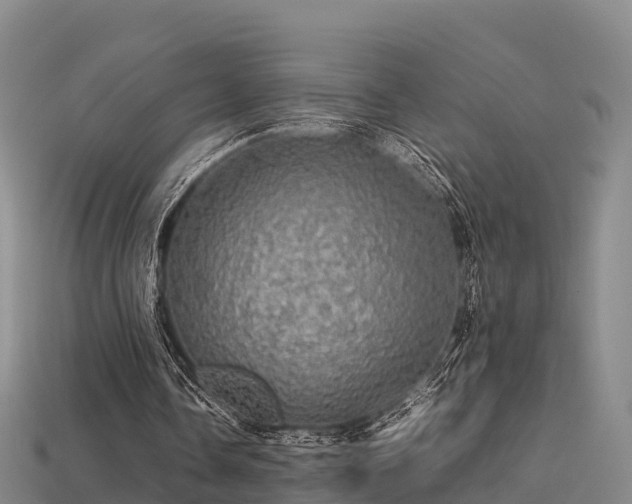 X0000113600338200909251200