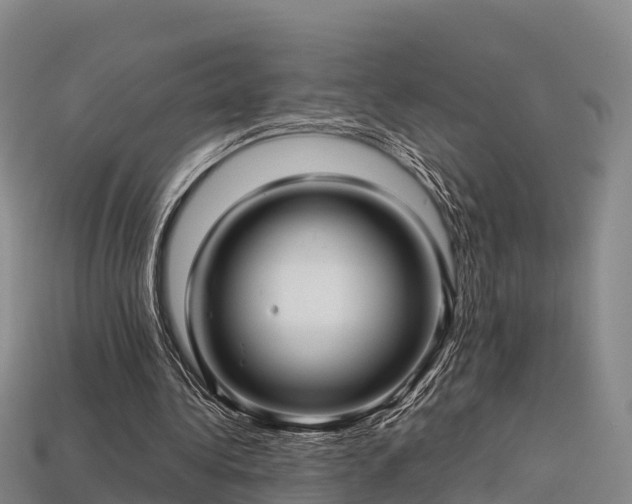 X0000113600340200909251200