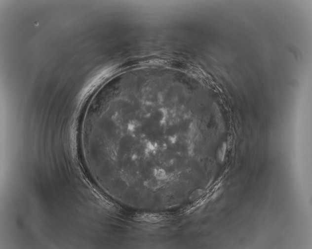 X0000113600341200909251200