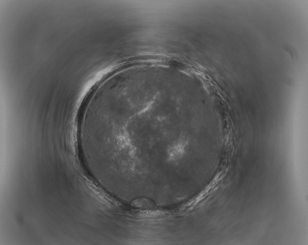 X0000113600342200909251200