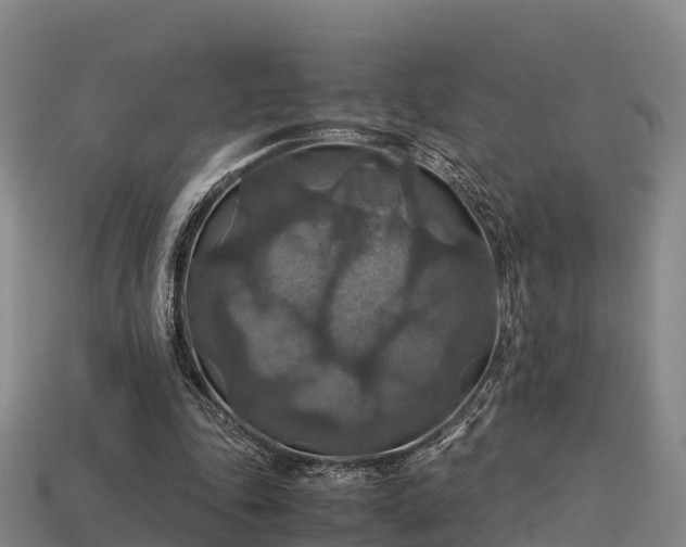 X0000113600343200909251200