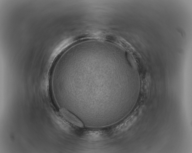 X0000113600344200909251200