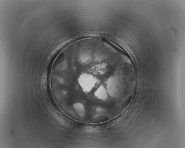 X0000113600346200909251200