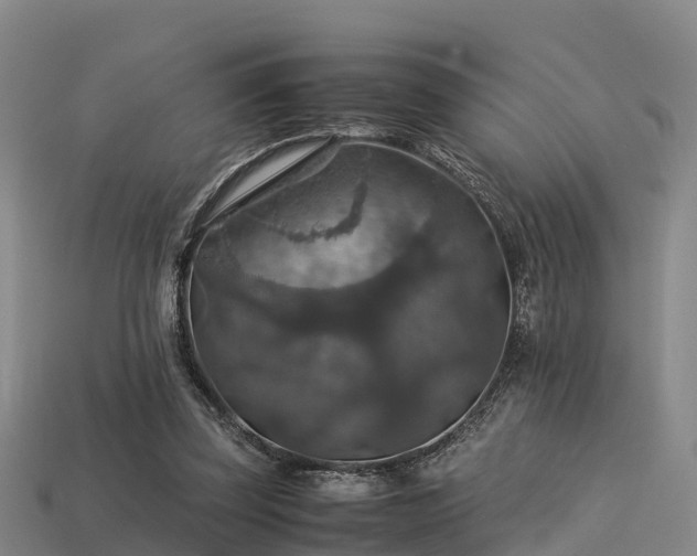 X0000113600347200909251200