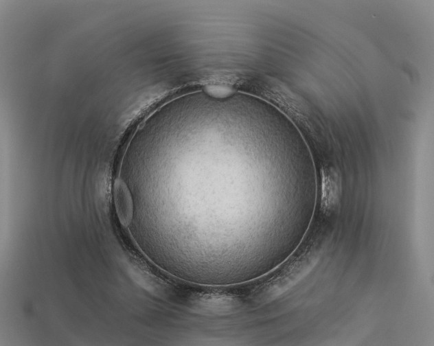 X0000113600348200909251200