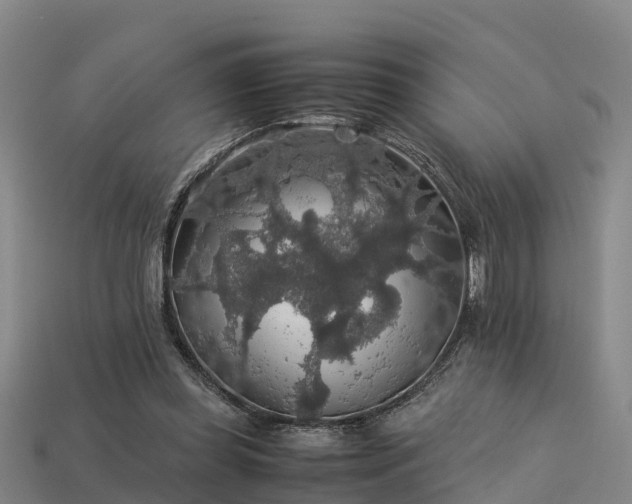 X0000113600349200909251200