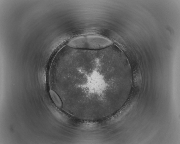 X0000113600350200909251200