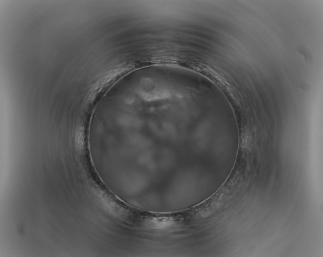 X0000113600353200909251201