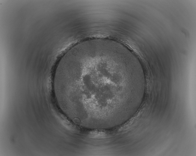 X0000113600354200909251201