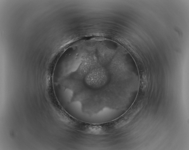 X0000113600355200909251201