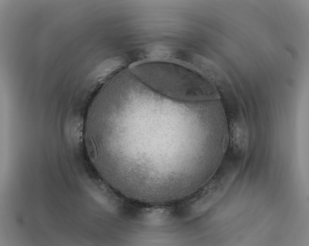 X0000113600356200909251201