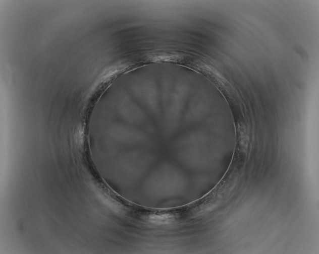 X0000113600357200909251201