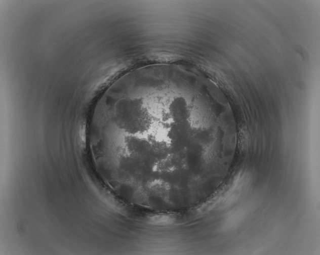 X0000113600358200909251201