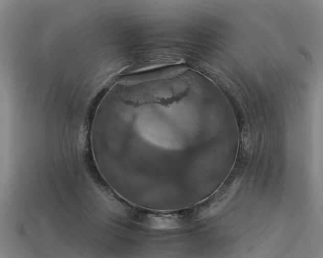 X0000113600359200909251201