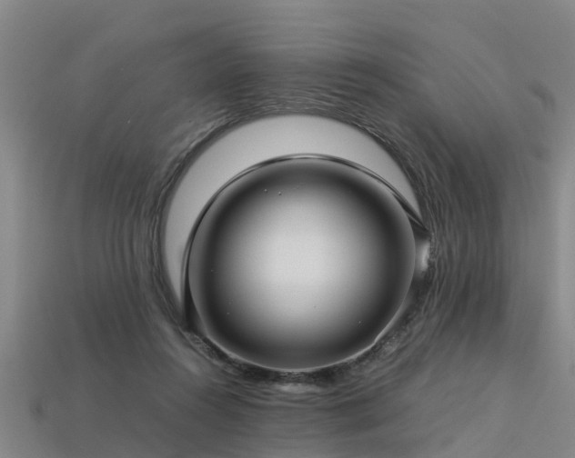 X0000113600360200909251201