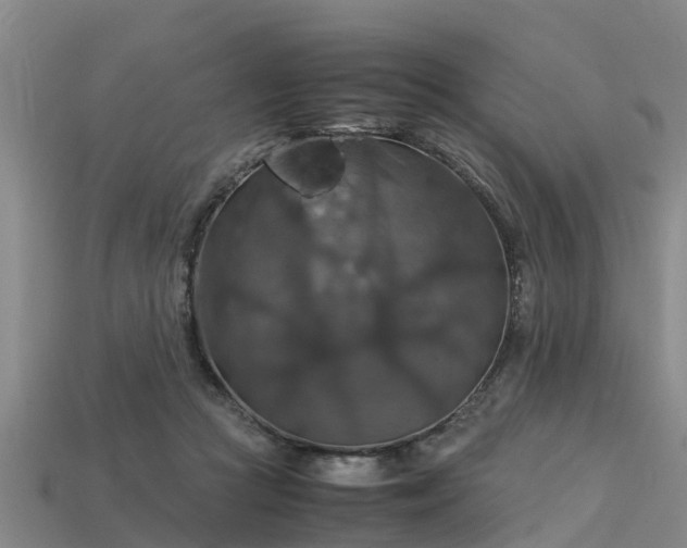 X0000113600361200909251201