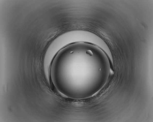 X0000113600362200909251201