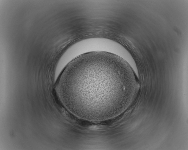 X0000113600364200909251201